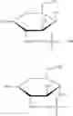 Fig. 33 - METHOD OF PREPARING PEGYLATED BIOMOLECULES HAVING CONTROLLABLE BINDING SITES