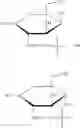 Fig. 36 - METHOD OF PREPARING PEGYLATED BIOMOLECULES HAVING CONTROLLABLE BINDING SITES