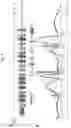 Fig. 10 - COMPOSITIONS AND METHODS FOR THE DIAGNOSIS AND TREATMENT OF RETINOPATHIES
