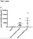 Fig. 03 - AAV GENE THERAPY FOR TREATING NEPHROTIC SYNDROME