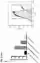 Fig. 13 - AAV GENE THERAPY FOR TREATING NEPHROTIC SYNDROME