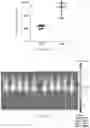 Fig. 13 - MICROENVIRONMENT SENSORS TO REGULATE ENGINEERED GENE EXPRESSION