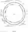 Fig. 20 - MICROENVIRONMENT SENSORS TO REGULATE ENGINEERED GENE EXPRESSION