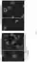 Fig. 21 - MICROENVIRONMENT SENSORS TO REGULATE ENGINEERED GENE EXPRESSION