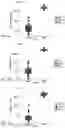 Fig. 31 - MICROENVIRONMENT SENSORS TO REGULATE ENGINEERED GENE EXPRESSION