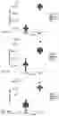 Fig. 32 - MICROENVIRONMENT SENSORS TO REGULATE ENGINEERED GENE EXPRESSION