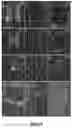 Fig. 10 - DELIVERY OF POLYNUCLEOTIDES USING RECOMBINANT AAV9