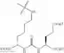 Fig. 99 - PROSTATE-SPECIFIC MEMBRANE ANTIGEN (PSMA) INHIBITORS AS DIAGNOSTIC AND RADIONUCLIDE THERAPEUTIC AGENTS