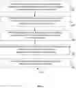 Fig. 08 - Methods and devices for sterilizing organic products