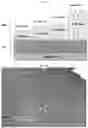 Fig. 04 - BACTERICIDAL COATING COMPOSITIONS AND METHODS USING SAME