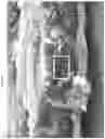 Fig. 13 - BACTERICIDAL COATING COMPOSITIONS AND METHODS USING SAME