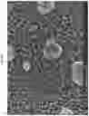 Fig. 23 - BACTERICIDAL COATING COMPOSITIONS AND METHODS USING SAME