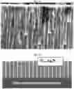 Fig. 24 - BACTERICIDAL COATING COMPOSITIONS AND METHODS USING SAME