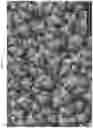 Fig. 25 - BACTERICIDAL COATING COMPOSITIONS AND METHODS USING SAME