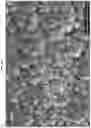 Fig. 26 - BACTERICIDAL COATING COMPOSITIONS AND METHODS USING SAME