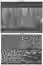 Fig. 48 - BACTERICIDAL COATING COMPOSITIONS AND METHODS USING SAME