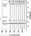 Fig. 49 - BACTERICIDAL COATING COMPOSITIONS AND METHODS USING SAME