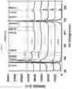Fig. 51 - BACTERICIDAL COATING COMPOSITIONS AND METHODS USING SAME