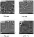 Fig. 06 - SYSTEMS AND METHODS FOR HOT-ISOSTATIC PRESSING TO INCREASE NITROGEN CONTENT IN SILICON NITRIDE