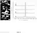 Fig. 13 - SYSTEMS AND METHODS FOR HOT-ISOSTATIC PRESSING TO INCREASE NITROGEN CONTENT IN SILICON NITRIDE
