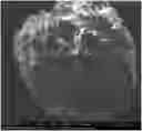 Fig. 01 - Bone implant composition