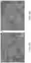 Fig. 12 - Eggshell Particle Containing Hydrogels And Prepolymer Compositions For Biomedical Applications