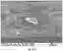 Fig. 12 - MESH-BASED IN SITU CROSS-LINKABLE COMPOSITIONS