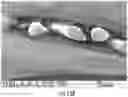 Fig. 17 - MESH-BASED IN SITU CROSS-LINKABLE COMPOSITIONS