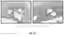 Fig. 20 - MESH-BASED IN SITU CROSS-LINKABLE COMPOSITIONS