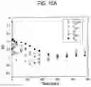 Fig. 19 - System for removing uremic toxins in dialysis processes