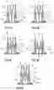 Fig. 09 - SAFETY DEVCE FOR A PRE-FILLED SYRINGE AND AN INJECTION DEVICE