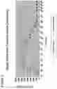 Fig. 03 - INTRANASAL DESMOPRESSIN ADMINISTRATION