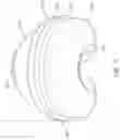 Fig. 08 - THERMOFORMED MASK