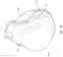 Fig. 17 - THERMOFORMED MASK