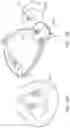 Fig. 29 - THERMOFORMED MASK
