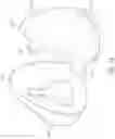 Fig. 60 - THERMOFORMED MASK