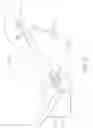 Fig. 15 - Method and apparatus for transdermal stimulation over the palmar and plantar surfaces