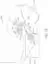 Fig. 17 - Method and apparatus for transdermal stimulation over the palmar and plantar surfaces