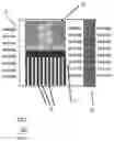 Fig. 10 - MAGNETIC DEVICE FOR TREATING LIVING TISSUES