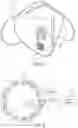 Fig. 05 - SANITIZING DEVICE FOR FACE MASKS