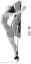 Fig. 37 - EXERCISE SYSTEMS