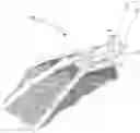 Fig. 01 - Swim fin