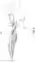 Fig. 03 - Swim fin