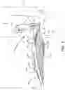 Fig. 05 - Swim fin