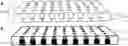 Fig. 01 - Porous membrane for single particle analysis