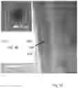 Fig. 03 - Synthesis of Nanoparticles by Sonofragmentation of Ultra-Thin Substrates