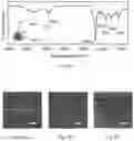 Fig. 08 - Synthesis of Nanoparticles by Sonofragmentation of Ultra-Thin Substrates