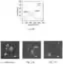 Fig. 09 - Synthesis of Nanoparticles by Sonofragmentation of Ultra-Thin Substrates