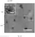 Fig. 14 - Synthesis of Nanoparticles by Sonofragmentation of Ultra-Thin Substrates