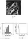 Fig. 15 - Synthesis of Nanoparticles by Sonofragmentation of Ultra-Thin Substrates